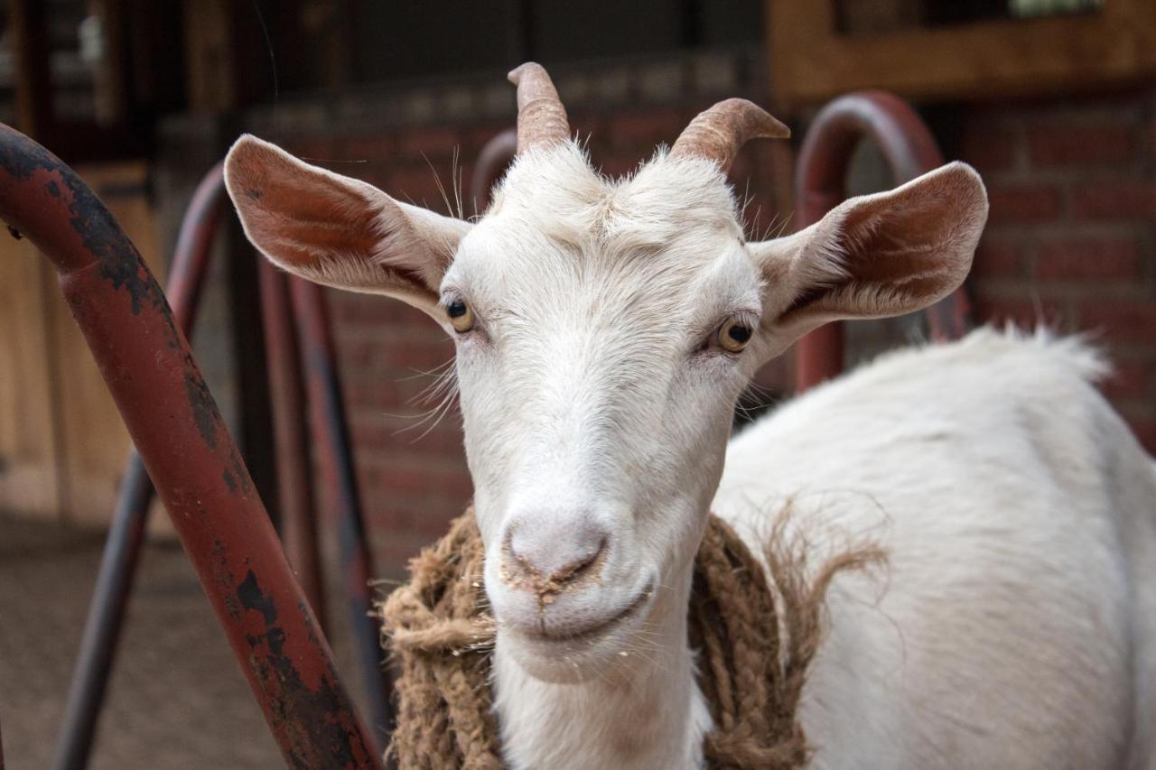 Hotel Gibb'S Farm Karatu Zewnętrze zdjęcie