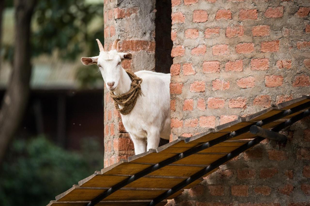 Hotel Gibb'S Farm Karatu Zewnętrze zdjęcie